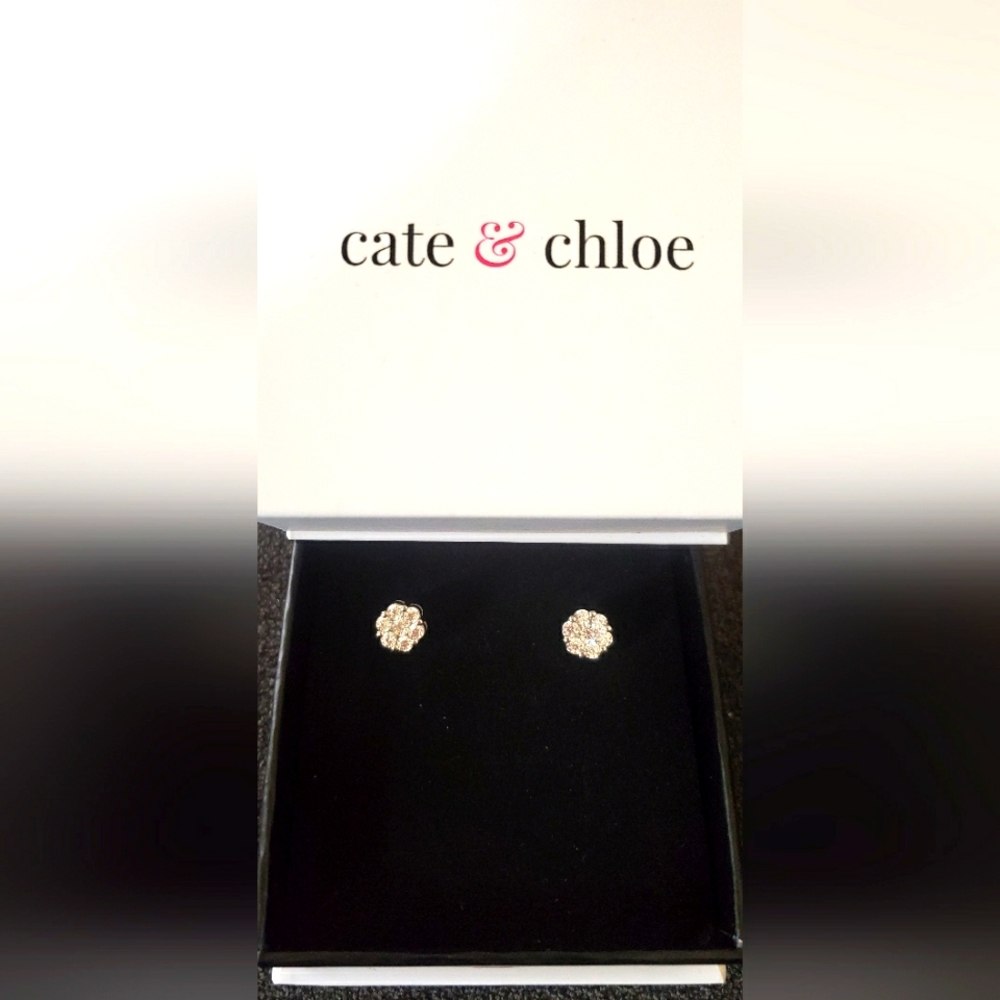 Cate & Chloe Nova 18k White Gold Stud Earrings with Cubic Zirconia Crystals NEW